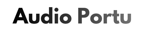 Audioportu